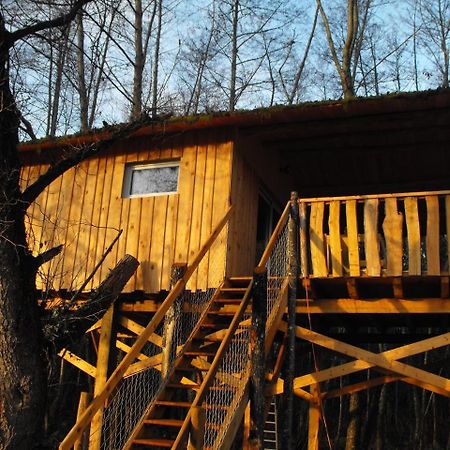 Cabane Des Cerfs Allons  ภายนอก รูปภาพ