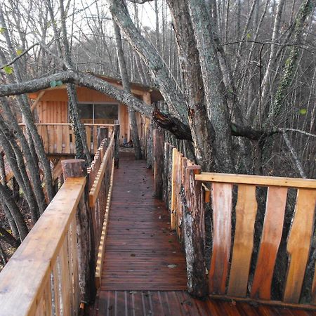 Cabane Des Cerfs Allons  ภายนอก รูปภาพ