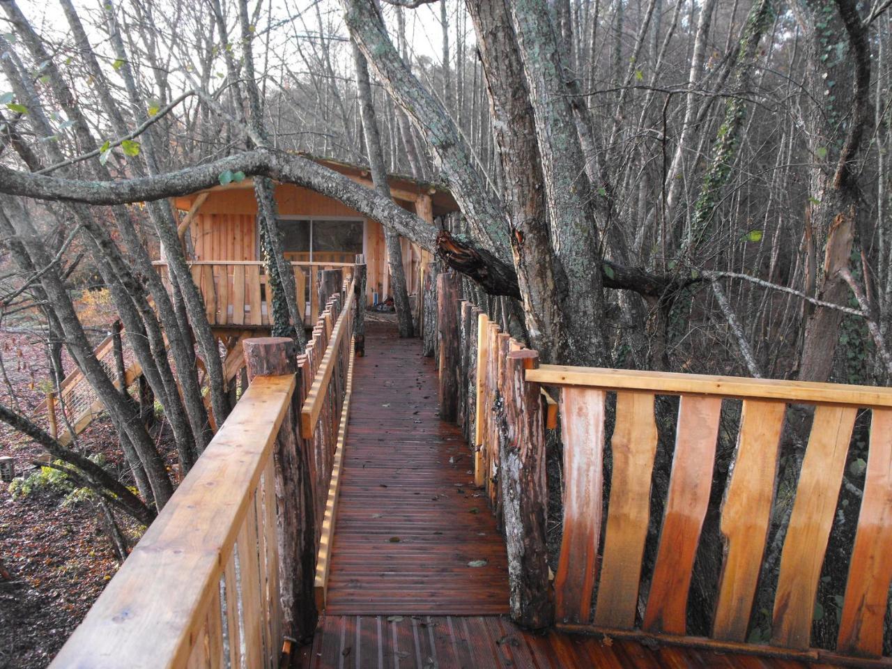 Cabane Des Cerfs Allons  ภายนอก รูปภาพ
