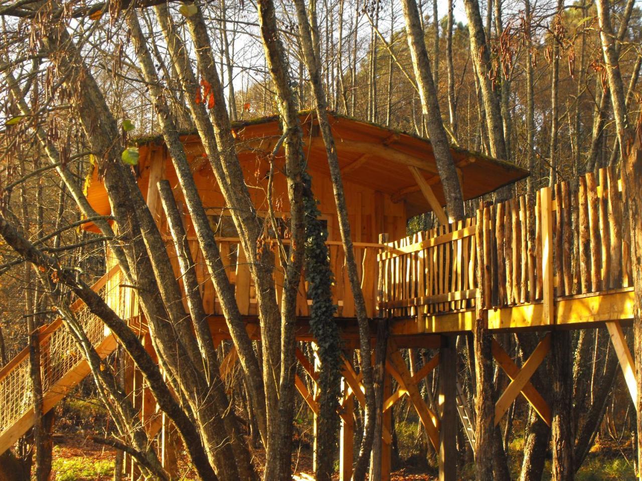 Cabane Des Cerfs Allons  ภายนอก รูปภาพ