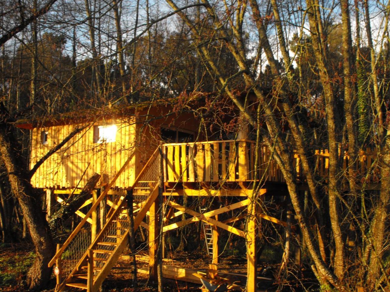 Cabane Des Cerfs Allons  ภายนอก รูปภาพ