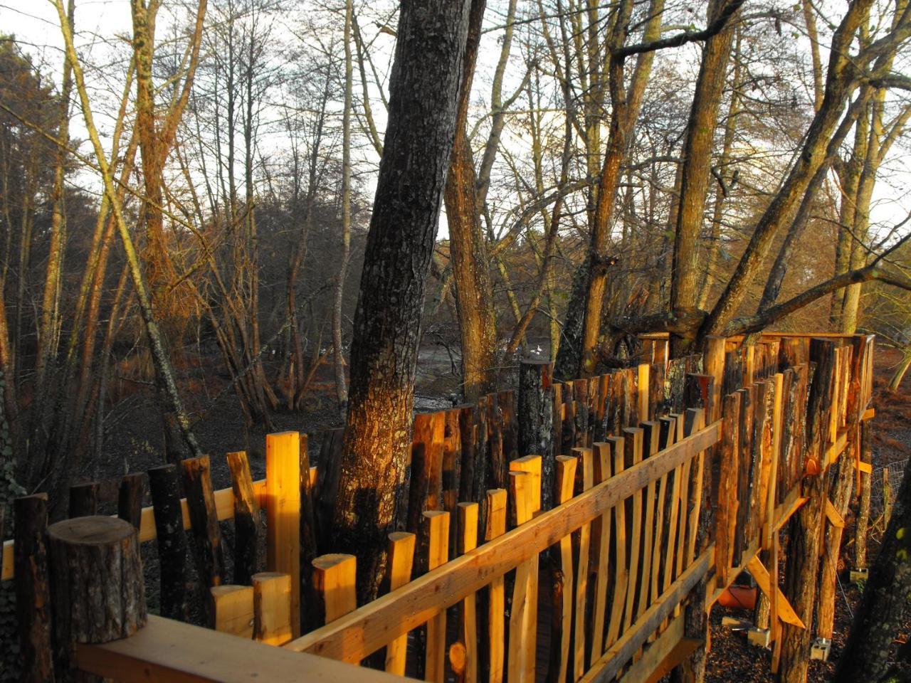 Cabane Des Cerfs Allons  ภายนอก รูปภาพ